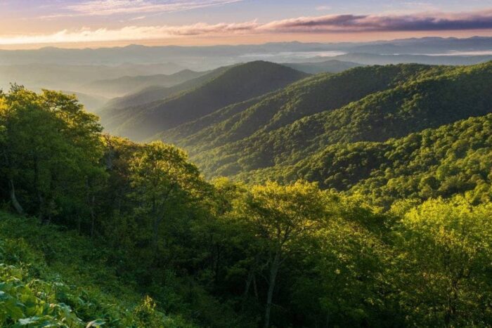 motiv grup activisti mediu cumpara suprafete mari teren romania 894933