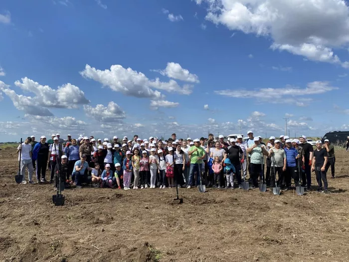Satul din România unde oamenii și-au plantat pădure: ‘Era o zonă abandonată’ Pădurile din Romania pe cale de dispariție ca urmare a tăierilor masive ilegale