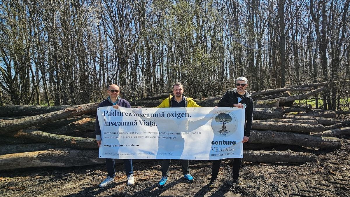 Centura Verde București-Ilfov, este înscrisă ca amendamente la noul Cod Silvic centura verde bucuresti ilfov amendamente noul cod silvic 897067