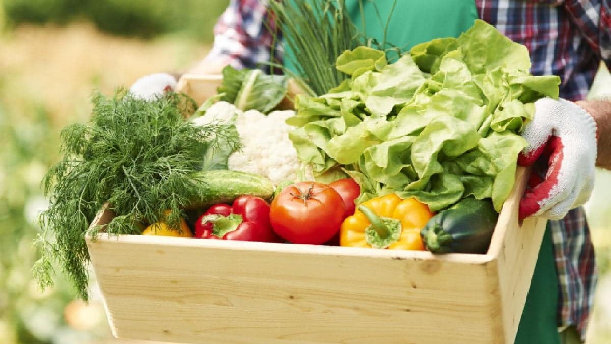 Care sunt efectele terapeutice ale legumelor verzi introduse în alimentaţie?