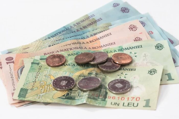 simona bucura oprescu noi ajutoare romani formare profesionala 902667