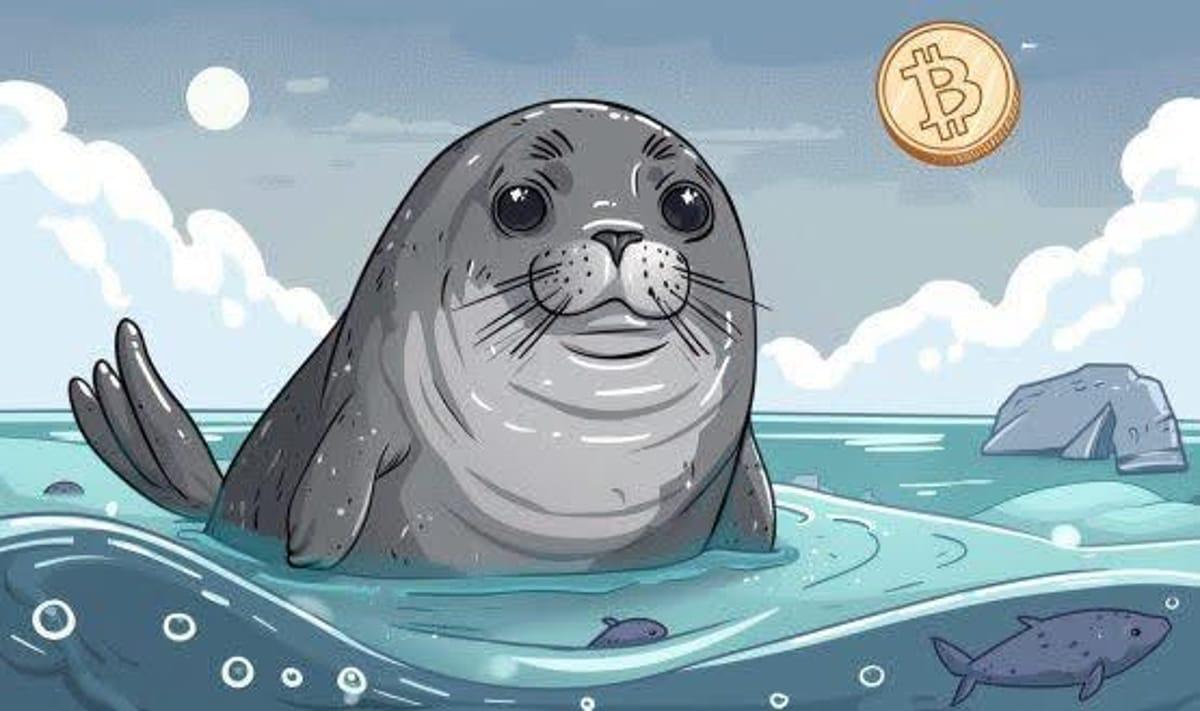 1719302056 463 Economicanet Cateva zile pana la listarea pe DEX criptomonede