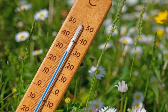 meteo1