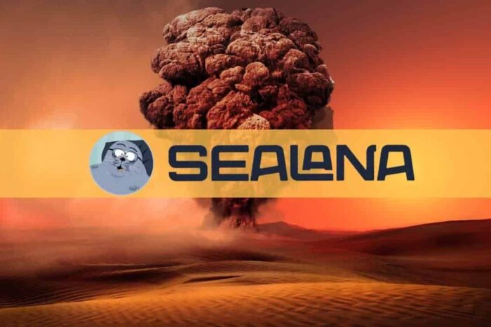 Care sunt criptomonede de investit, ale acestei luni sealana 1