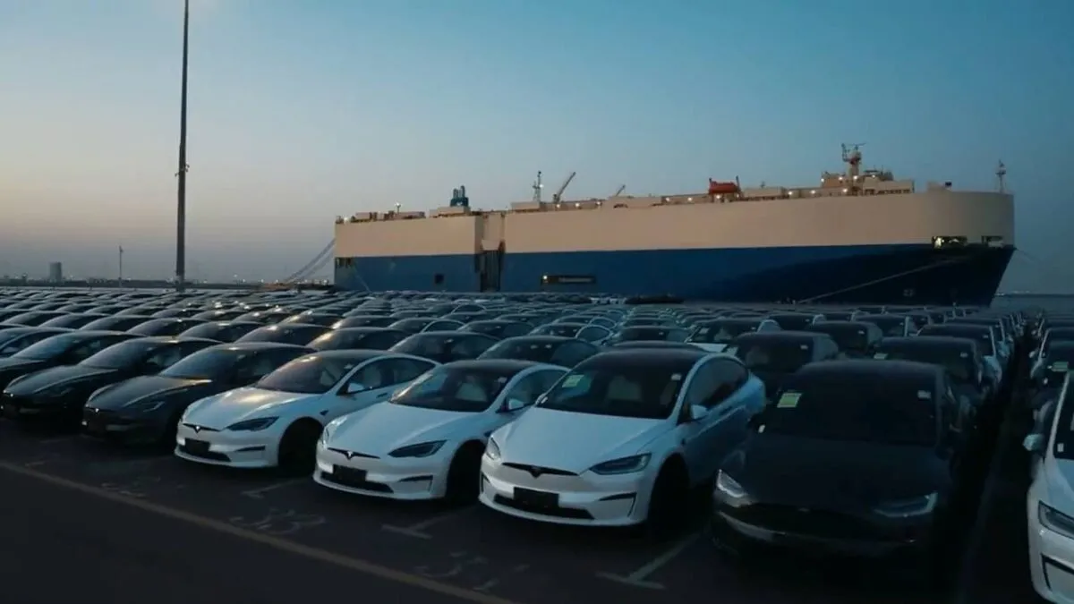 Tesla-cars.jpg