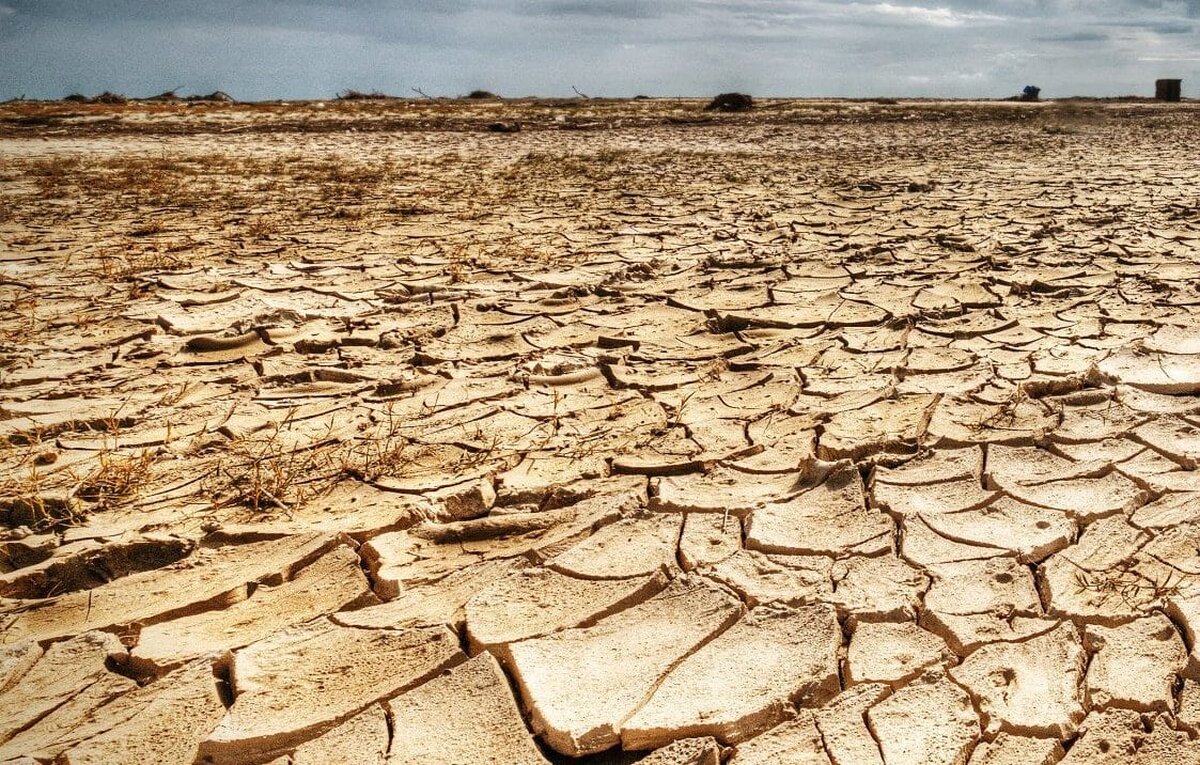 Florin Barbu: Avem 2 milioane de hectare afectate de secetă