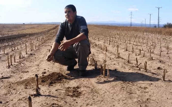 Fenomenul periculos din România, sesizat într-o zonă deosebită. Avansează spre centrul țării cu o viteză alarmantă