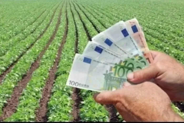 agricultura_bani_02134400_10533400_04129700_98192100.jpg