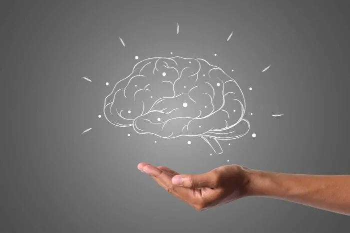 brain-writes-with-white-chalk-is-hand-draw-concept-scaled.jpeg