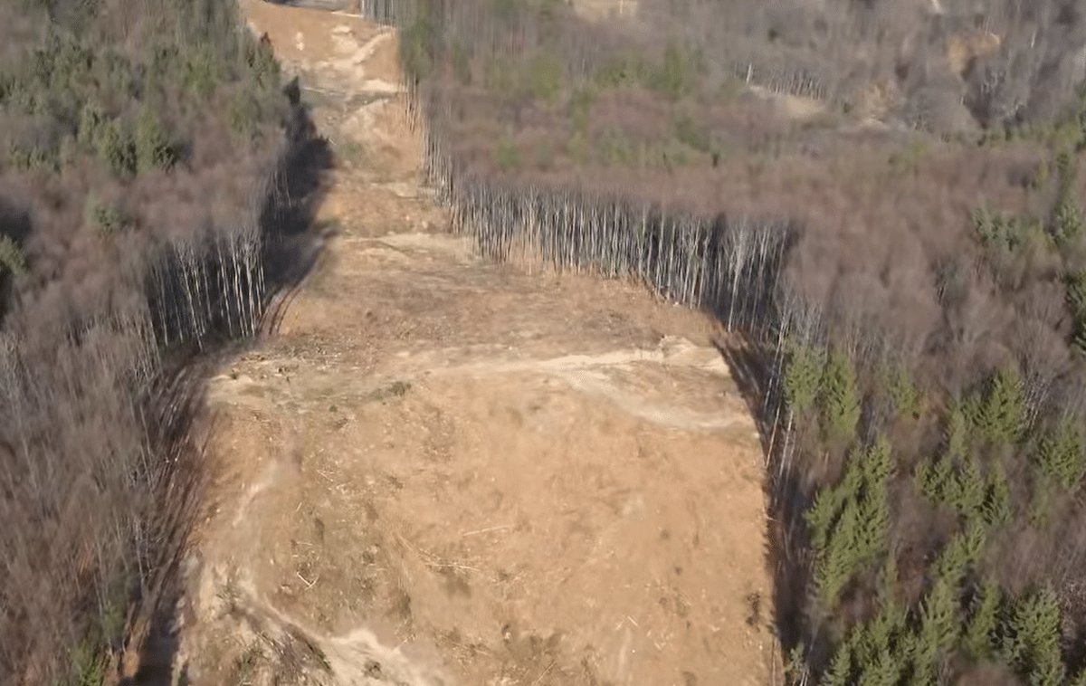 Zitec extinde colaborarea cu Ministerul Mediului pentru analiza avansată a datelor din aplicația Sumal 2.0