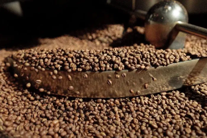 prajirea boabelor de cafea ce impact poate aduce cafelei tale 918196