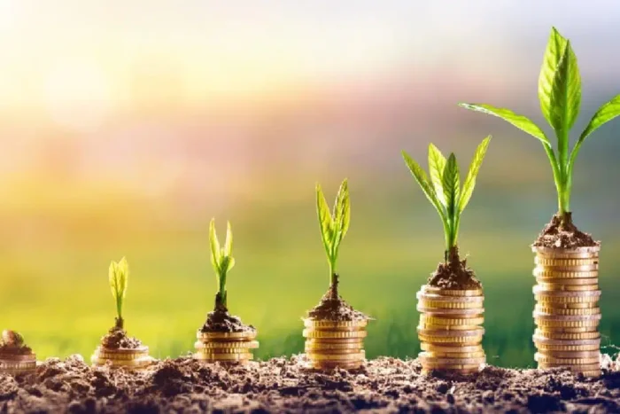 top 3 idei ce te vor ajuta sa detii o afacere sustenabila 920312