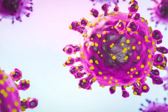 tot mai multe cazuri de febra lenesului in europa expertii avertizeaza ca nu exista tratament si nici vaccin pentru aceasta boala 920046