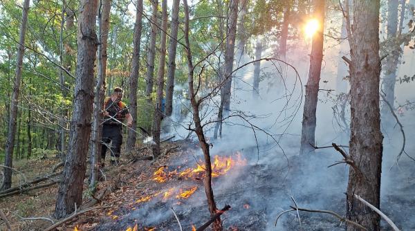 1725439716 226 Incendii uriase in cinci judete sute de pompieri intervin elicoptere