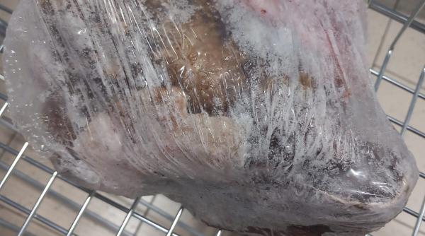 1725613295 957 34 de tone de alimente congelate din magazinele din Romania