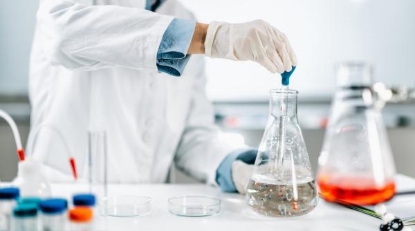 cat plastic a ajuns sa contina creierul uman concentratiile i au surprins pe cercetatori cu 50 mai mari decat in 2016 cat plastic a ajuns sa contina creierul uman concentratiile i au surprins pe cercetatori cu 50 mai mari decat in 2016