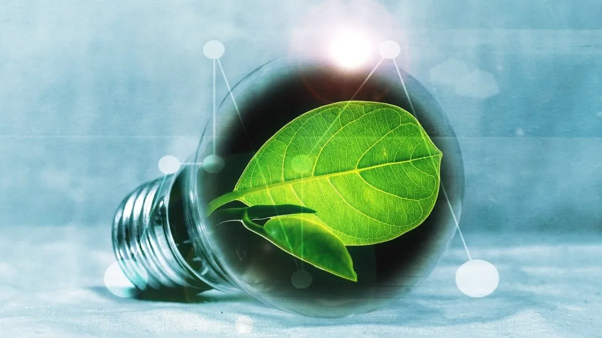 light-bulb-2632075_1280.jpg