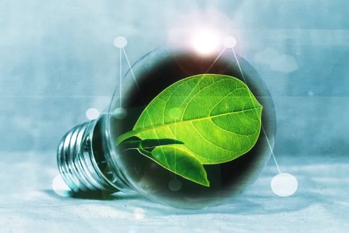 light-bulb-2632075_1280.jpg
