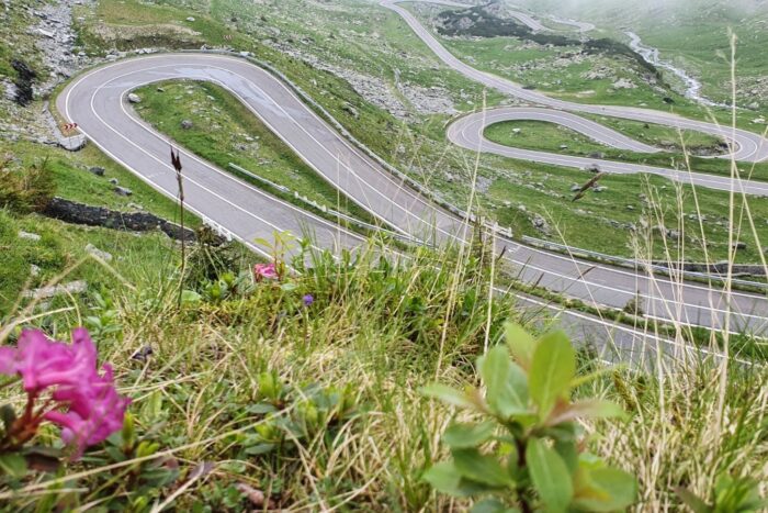 transfagarasann