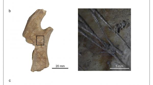 1727752364 115 Urmele unei societati antice necunoscute cat Troia de mare au