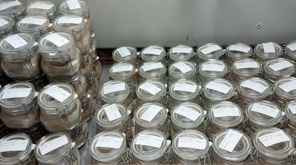 1729653130 217 Povestea tinerei care a studiat peste 4400 de organe Totul