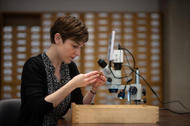 1729653130 602 Povestea tinerei care a studiat peste 4400 de organe Totul