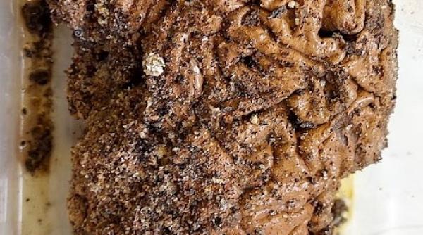 1729653130 628 Povestea tinerei care a studiat peste 4400 de organe Totul