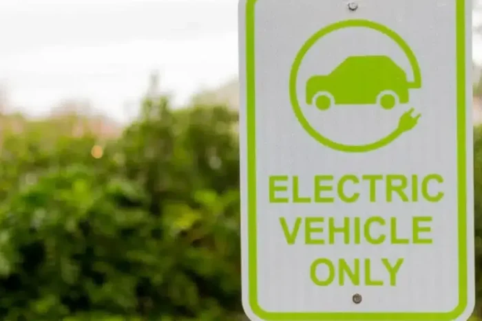 Electric Vehicule Only masini electrice 2