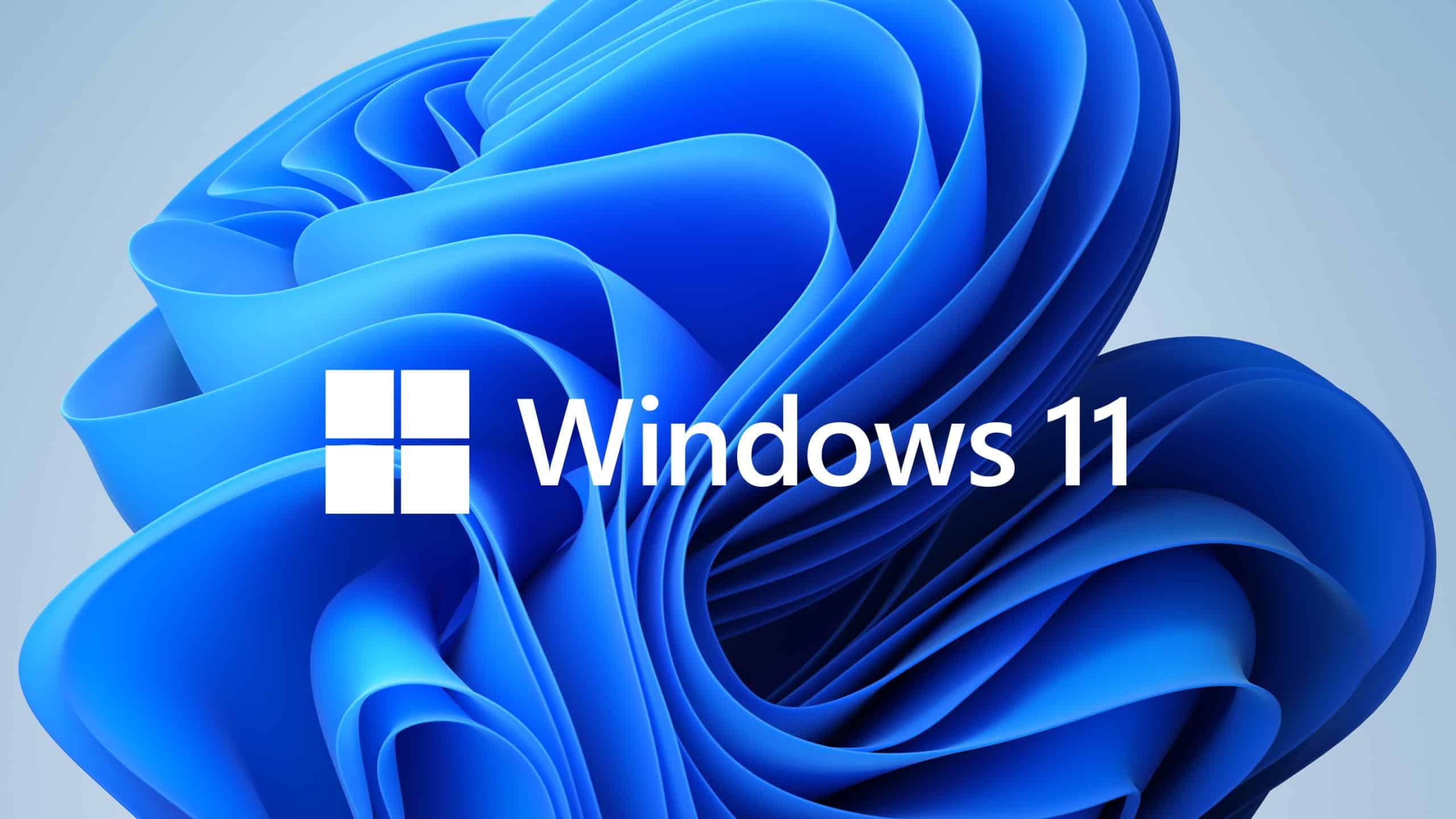 Din ce cauză Microsoft avertizează utilizatorii să evite actualizarea Windows 11?