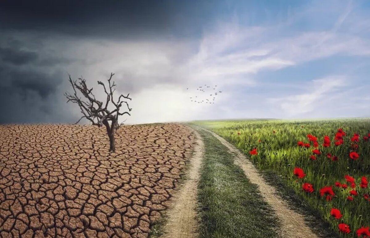 Cum este afectată România de criza climatică, în ultimii ani?