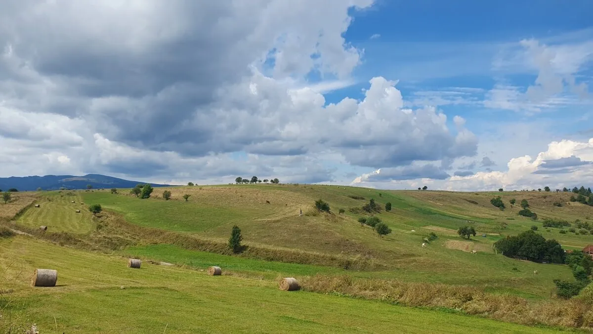 teren-agricol2.jpg