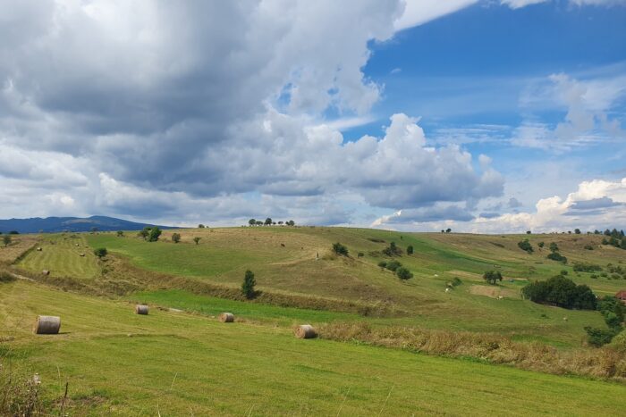 teren agricol2