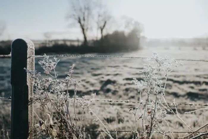 vremea se schimba radical in romania prognoza meteo pentru urmatoarele doua saptamani 937549