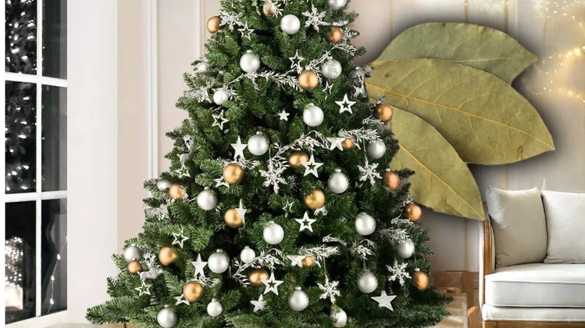 Ce simbolizează frunzele de dafin în bradul de Crăciun?