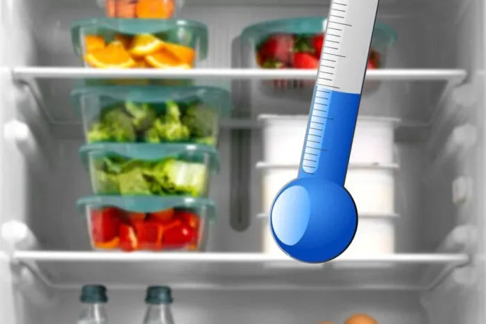 Temperatura-ideala-pentru-frigider-in-perioada-sarbatorilor.-La-cate-grade-trebuie-sa-il-setezi-ca-s.jpeg