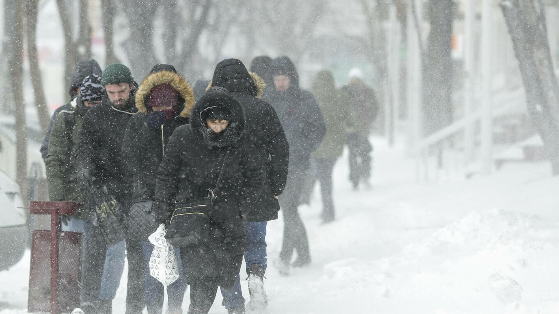 În România, viscol, ger și furtuni de ninsoare, vor avea loc în următoarele două zile