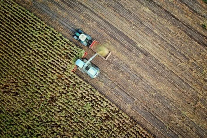 agricultura.jpg