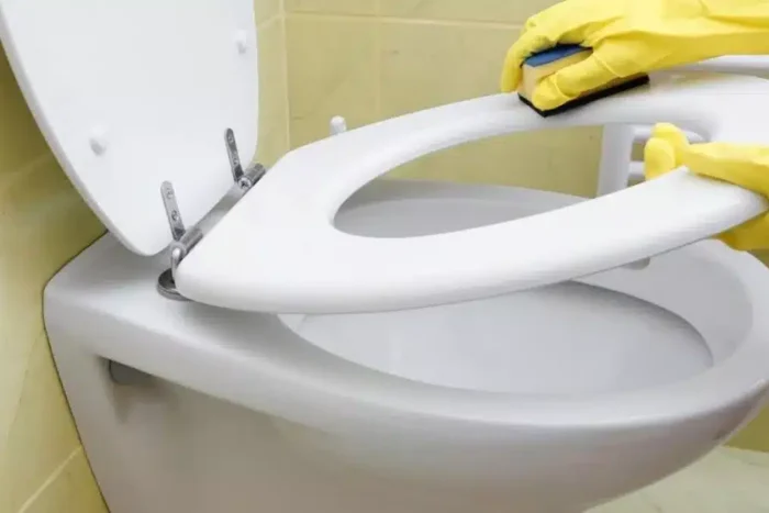 Care este trucul folosit în hoteluri, pentru curăţarea petelor negre din vasul de toaletă? 1740554344 Cum sa cureti rapid petele negre din vasul de toaleta.webp