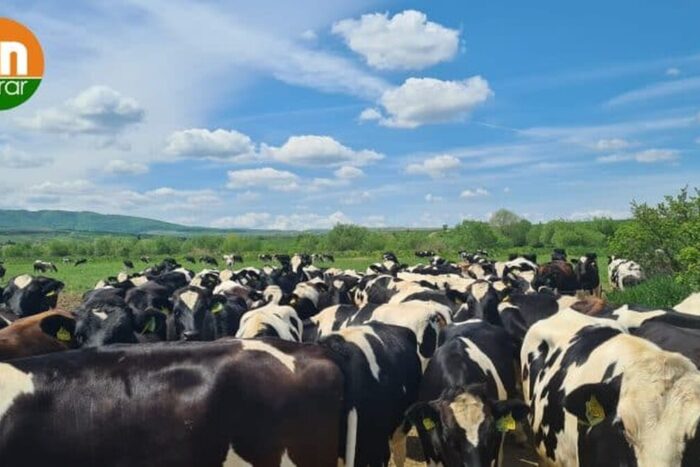 DN AGRAR Group cel mai mare producator de lapte din