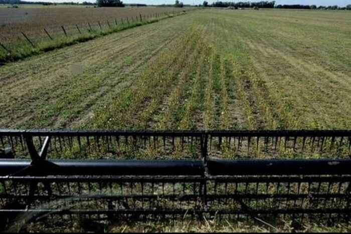 Producatorul agricol Agri Invest SA a sarit de pragul de