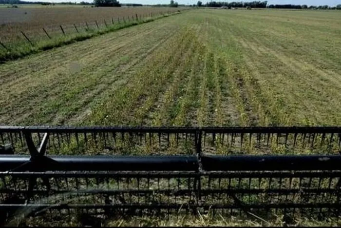 agricultura-567876545676.jpg