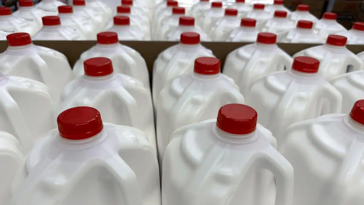 Cât este recomandată o doză zilnică de lapte integral şi cât a consumat un bărbat în două zile?