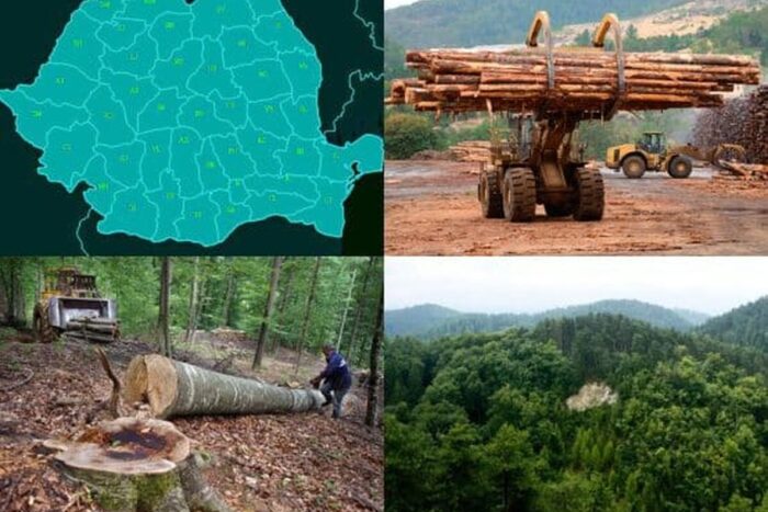 Balanta Lemnului in Romania Cat lemn exporta Romania si