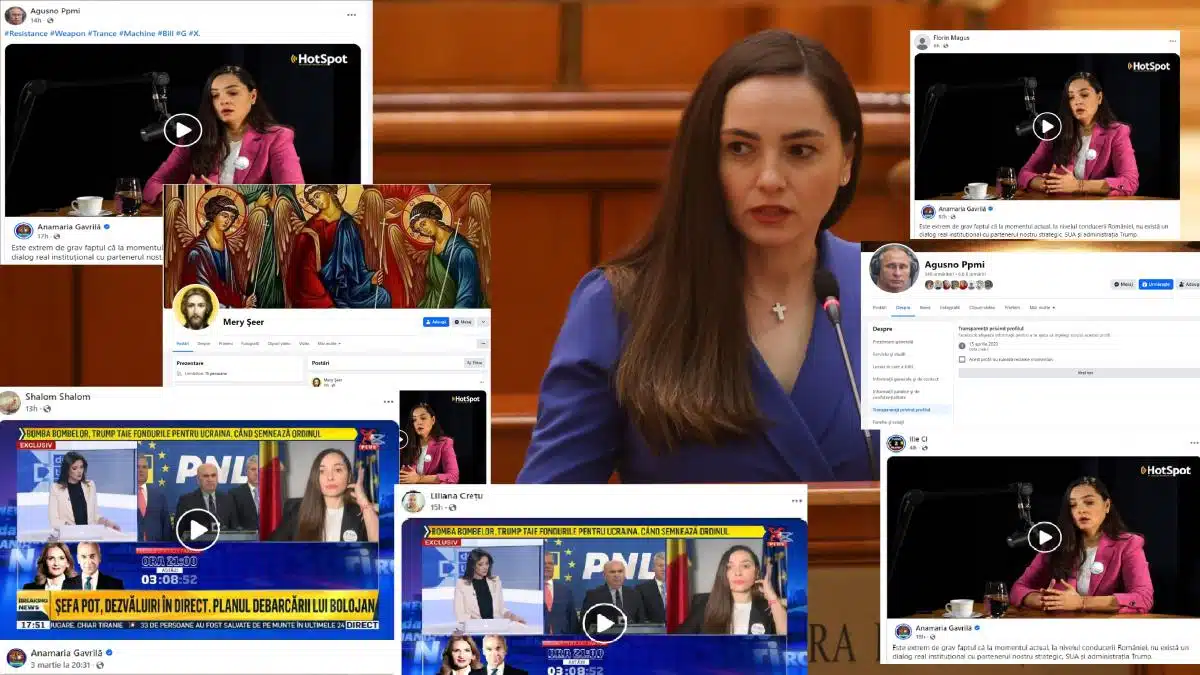 Cum funcţionează armata de conturi false care distribuie conţinutul deputatei Anamaria Gavrilă?