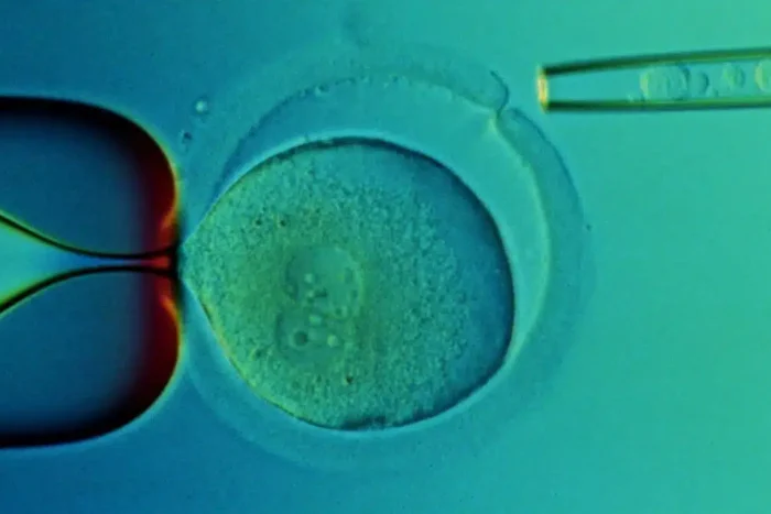o-terapie-noua-cu-celule-stem-poate-repara-leziunile-oculare-ireversibile-si-orbitoare-arata-un-stud.webp