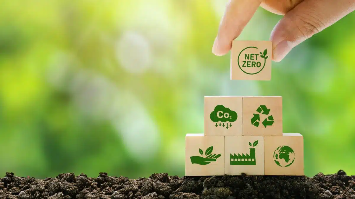 Unde va avea România, prima fabrică de asamblare pentru componentele din energia regenerabilă?