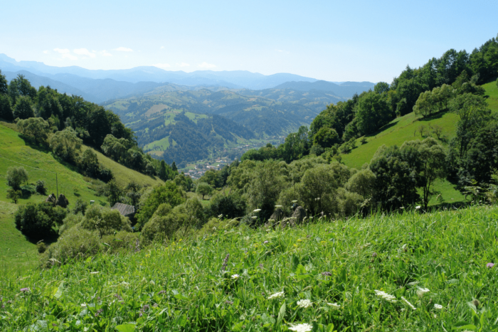 Poiana Narciselor si istoria Transilvaniei Viziteaza Cetatea Fagarasului si Manastirea Sinca Veche
