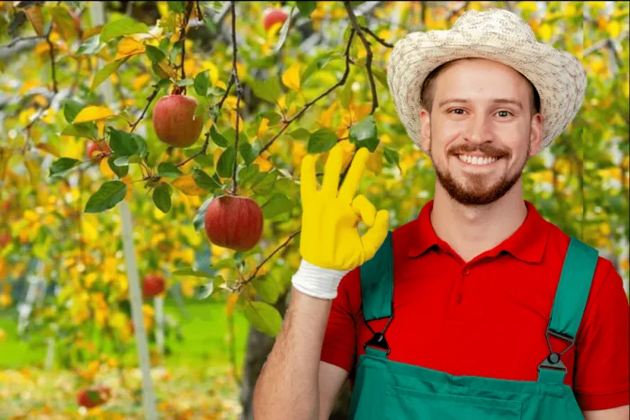 Tratamentul-obligatoriu-care-se-face-la-peri-meri-si-pruni-pana-in-mai.-Vei-avea-recolta-record-la-t.png