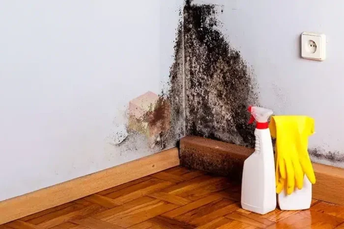 a4748e2f2c51a946fdae72fbe1923fd4 w.webp