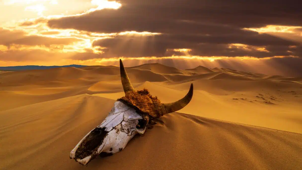 Valul de căldură, venit mai devreme, va testa limitele de supraviețuire în mai multe țări